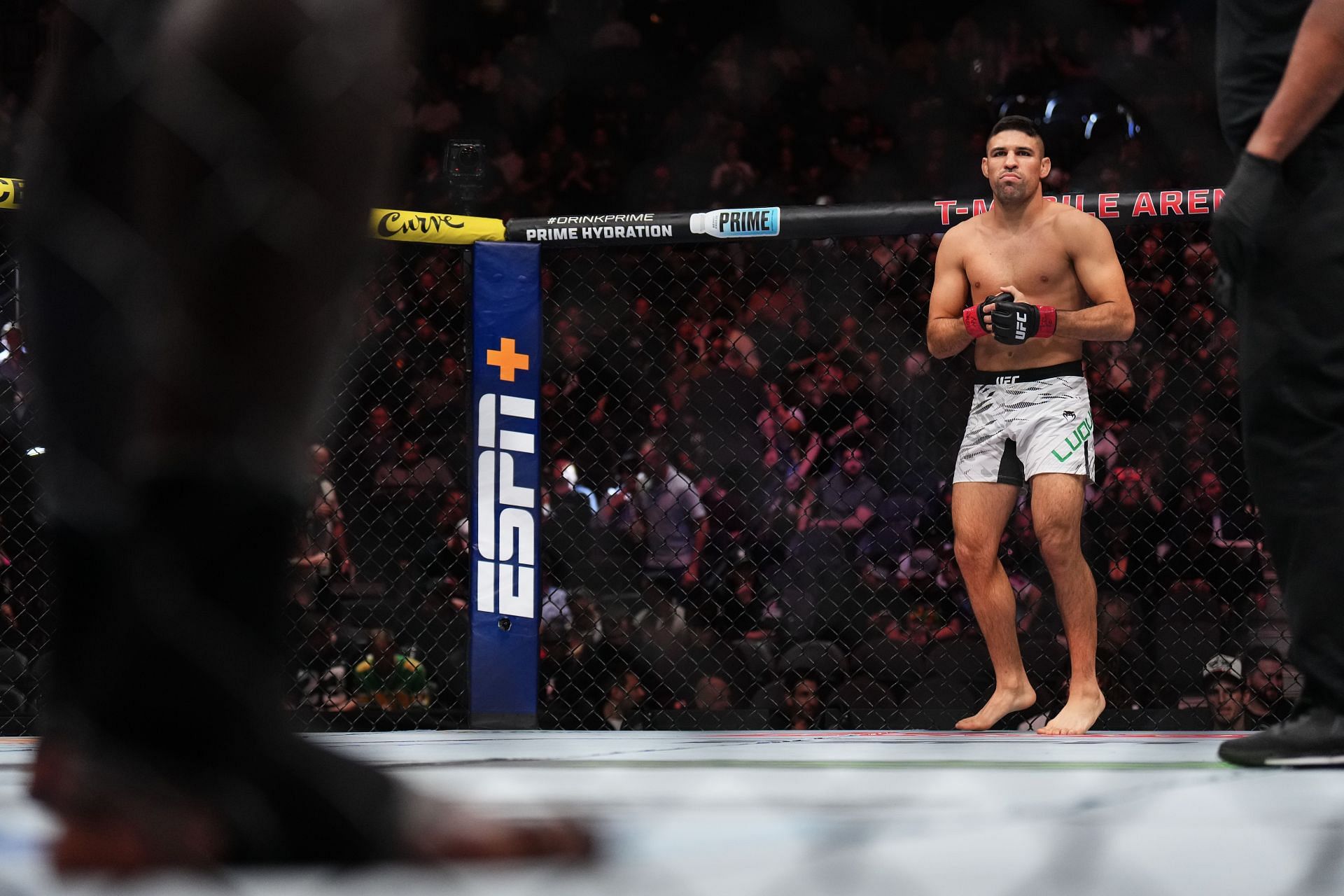 UFC 310: Pantoja v Asakura